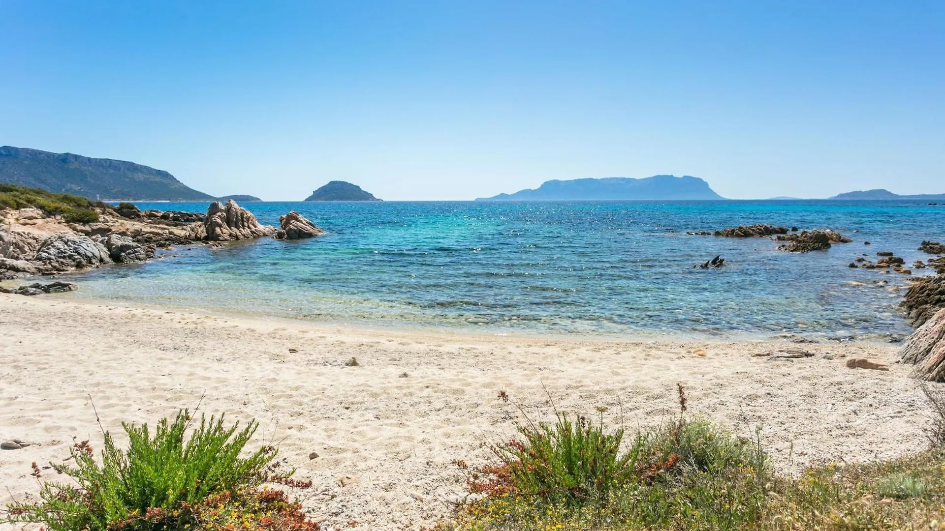 דירות Golfo Aranci - Cala Delfino 0*,